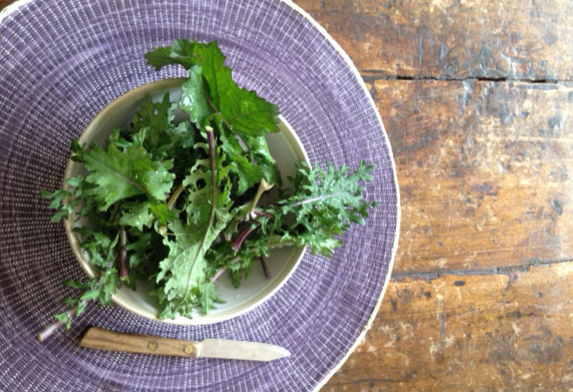 Nutrirunner: Kale